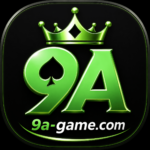 9A Game Disclaimer